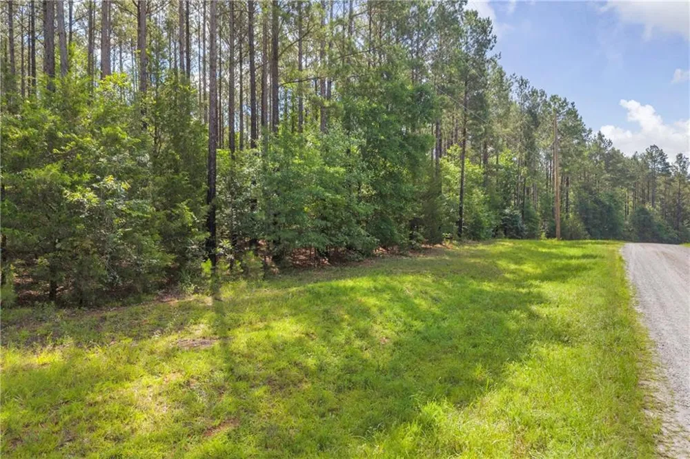0 WHITE OWL DRIVE Elberton, GA 30635