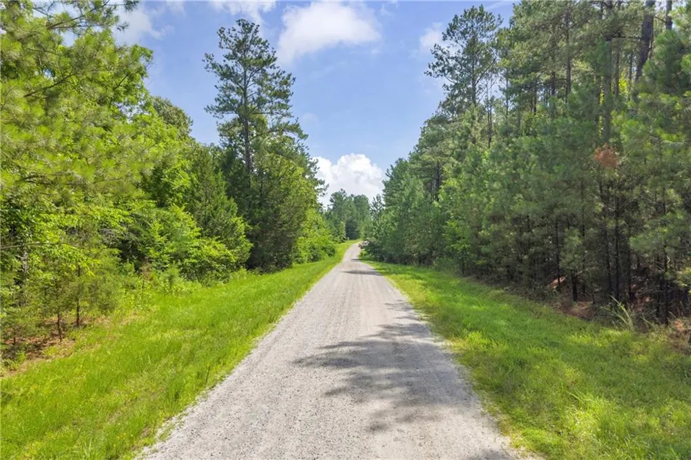 0 WHITE OWL DRIVE Elberton, GA 30635