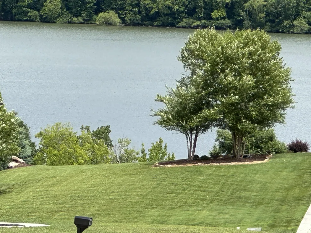 2186 Boat Hook Lane Sale Creek, TN 37373