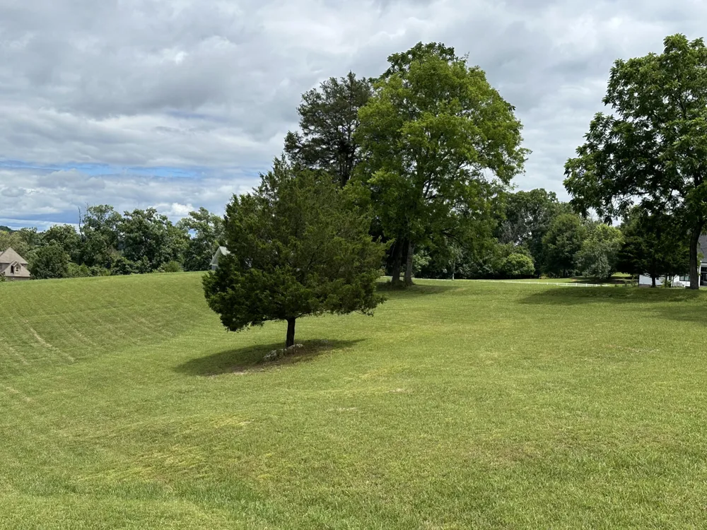 2186 Boat Hook Lane Sale Creek, TN 37373