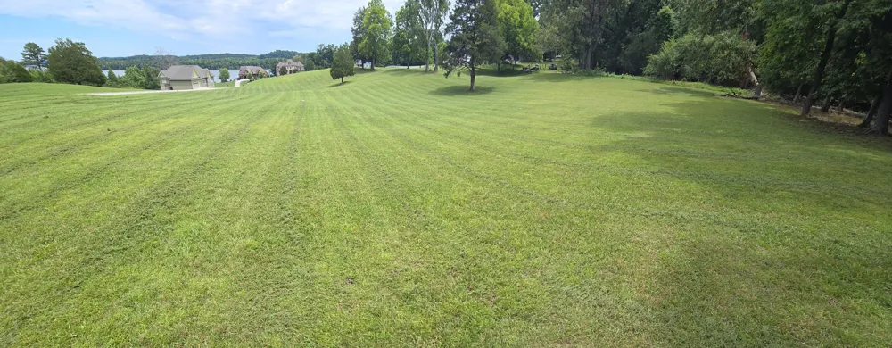 2186 Boat Hook Lane Sale Creek, TN 37373