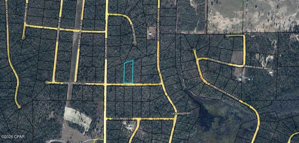Capulin Street Alford, FL 32420