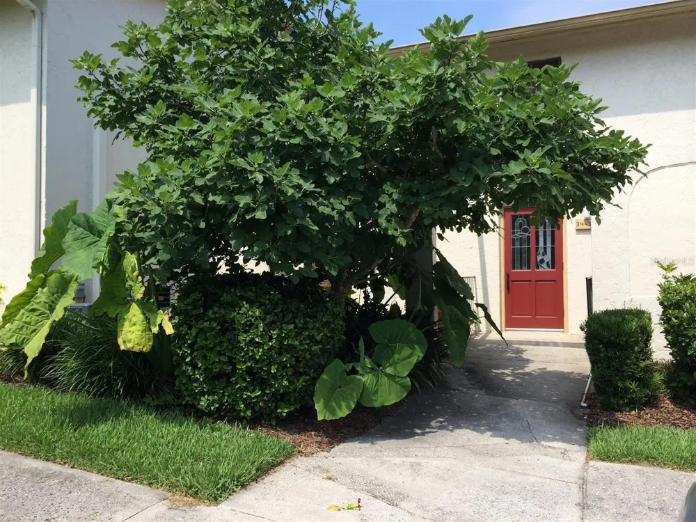 200 MAITLAND AVENUE #34 Altamonte Springs, FL 32701