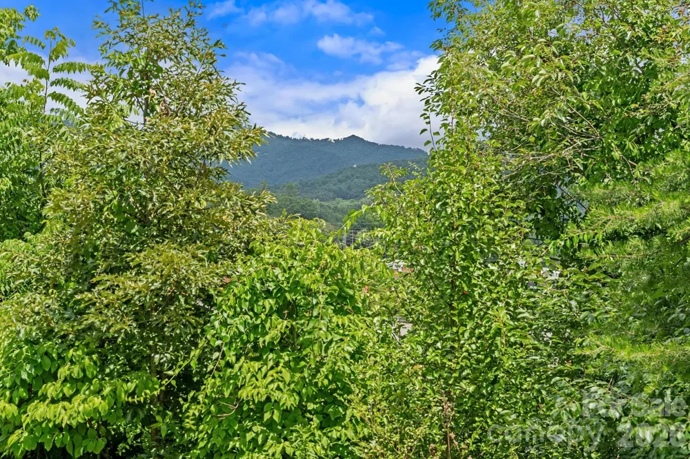 10 Benedict Lane Weaverville, NC 28787