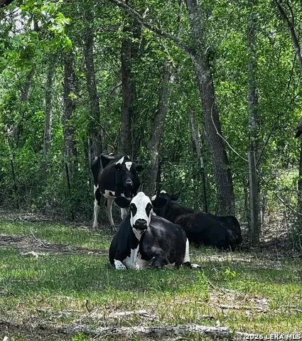 304 County Road 6611 Devine, TX 78016