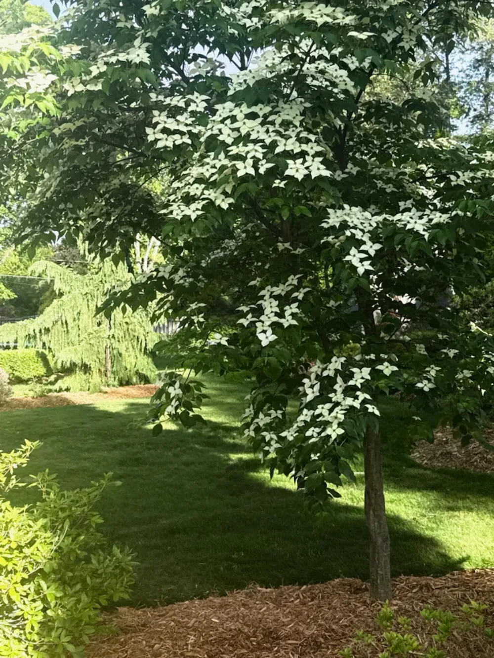 3600 Hendee Road Blackman Charter Township, MI 49201