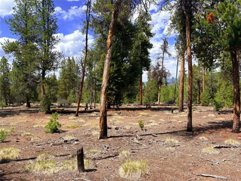 360 Lodgepole Drive
