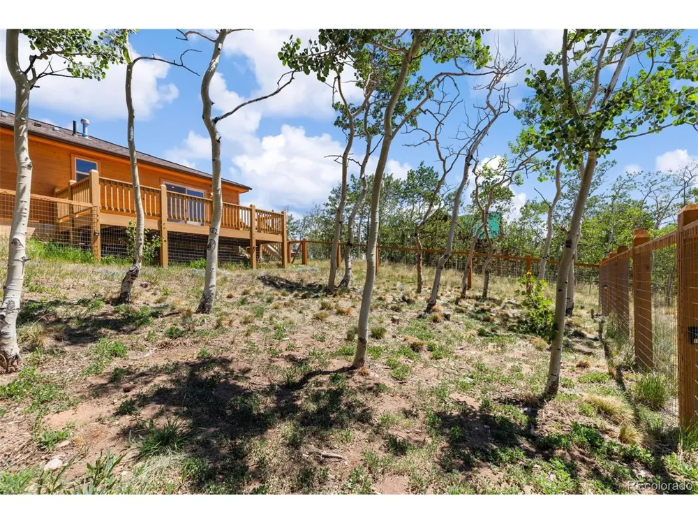 108 Sheep Ridge Road Fairplay, CO 80440