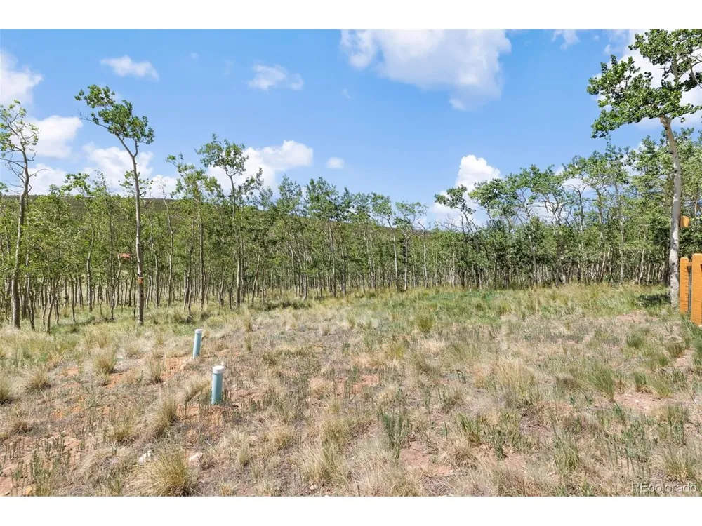 108 Sheep Ridge Road Fairplay, CO 80440