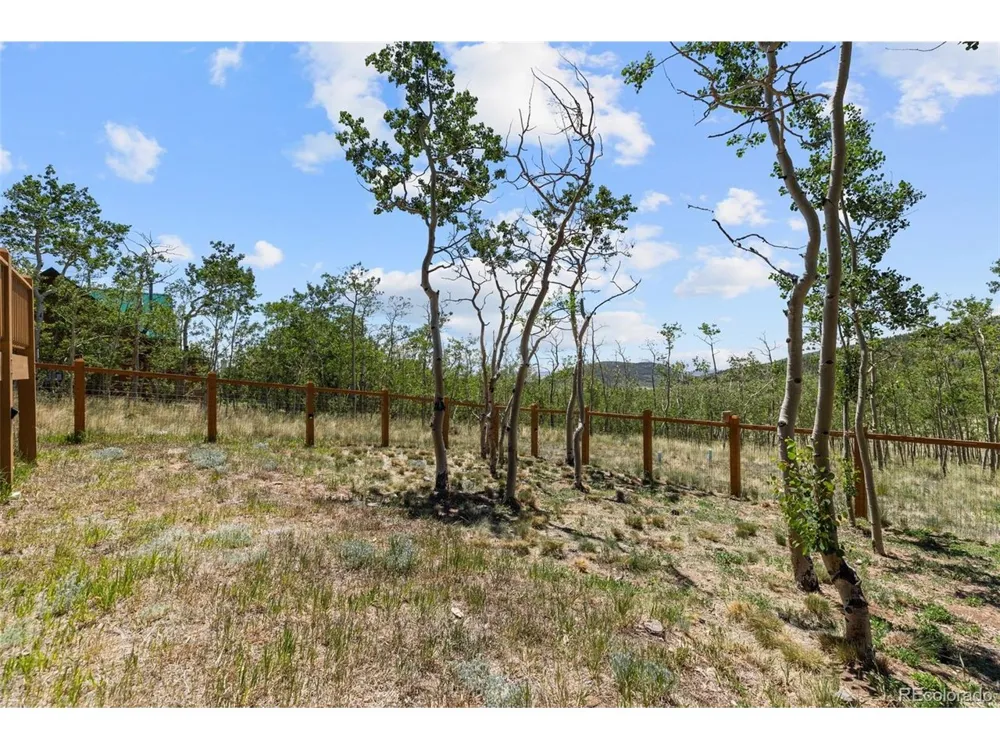 108 Sheep Ridge Road Fairplay, CO 80440