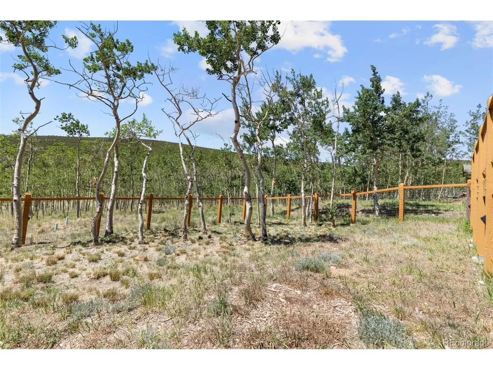 108 Sheep Ridge Road Fairplay, CO 80440
