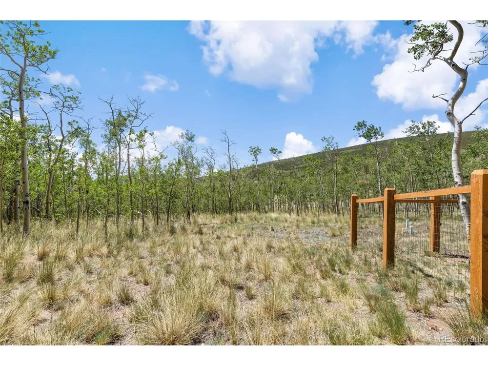 108 Sheep Ridge Road Fairplay, CO 80440