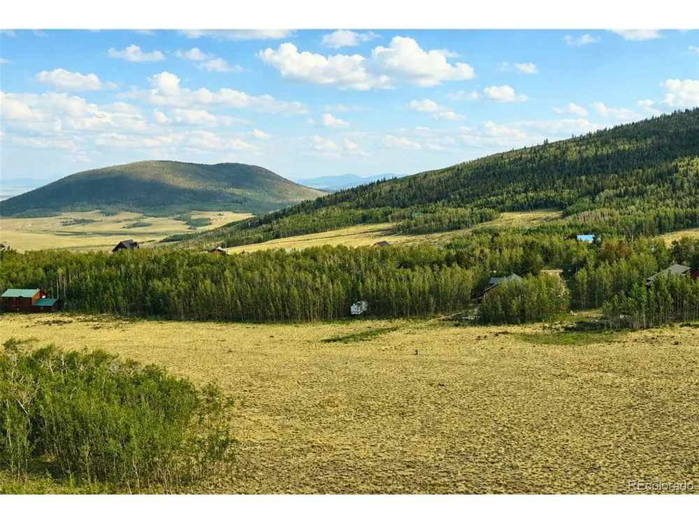 108 Sheep Ridge Road Fairplay, CO 80440