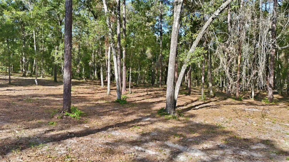 5230 S ROBERT BLAKE AVENUE Inverness, FL 34452