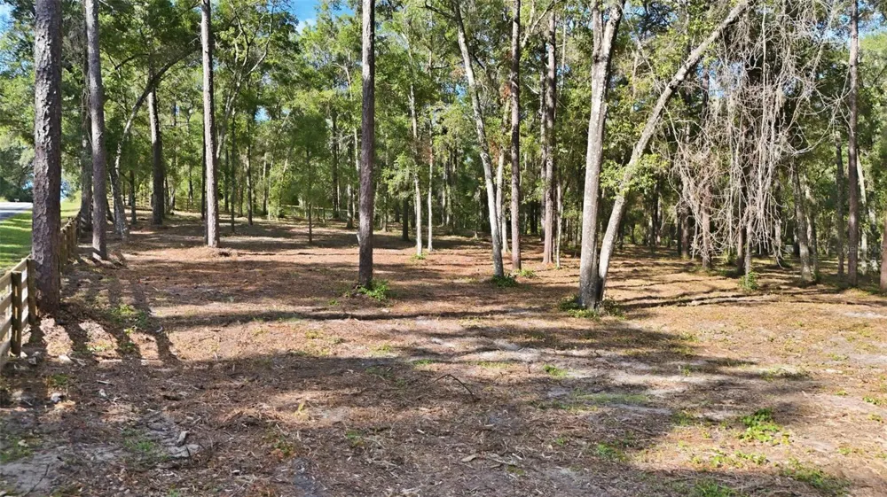5230 S ROBERT BLAKE AVENUE Inverness, FL 34452