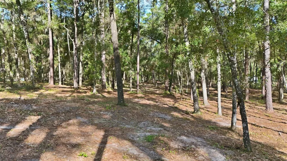 5230 S ROBERT BLAKE AVENUE Inverness, FL 34452