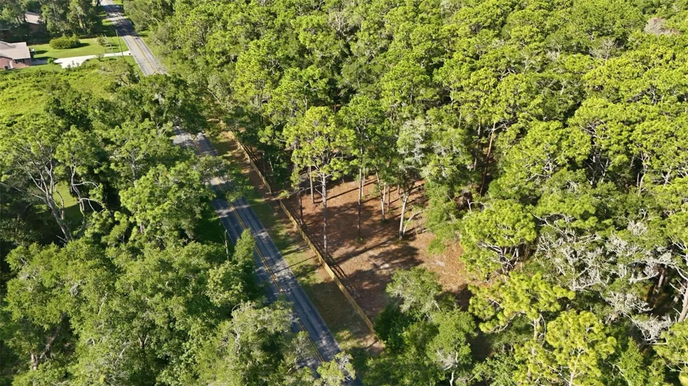 5230 S ROBERT BLAKE AVENUE Inverness, FL 34452