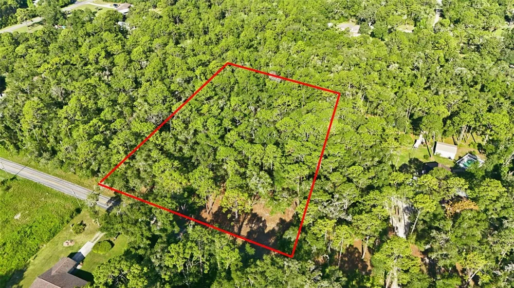 5230 S ROBERT BLAKE AVENUE Inverness, FL 34452