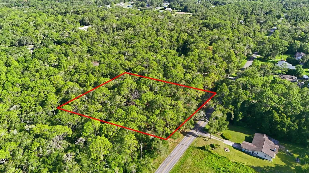 5230 S ROBERT BLAKE AVENUE Inverness, FL 34452