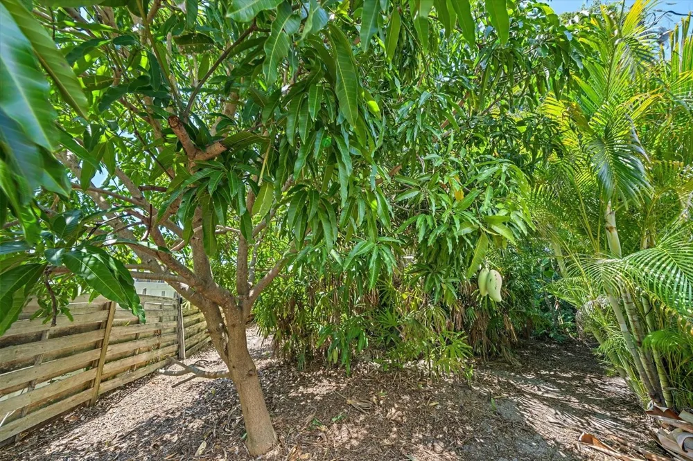 2462 CLEMATIS STREET Sarasota, FL 34239