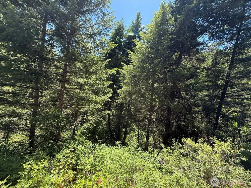 0 TBD Toroda Creek Road Wauconda, WA 98859