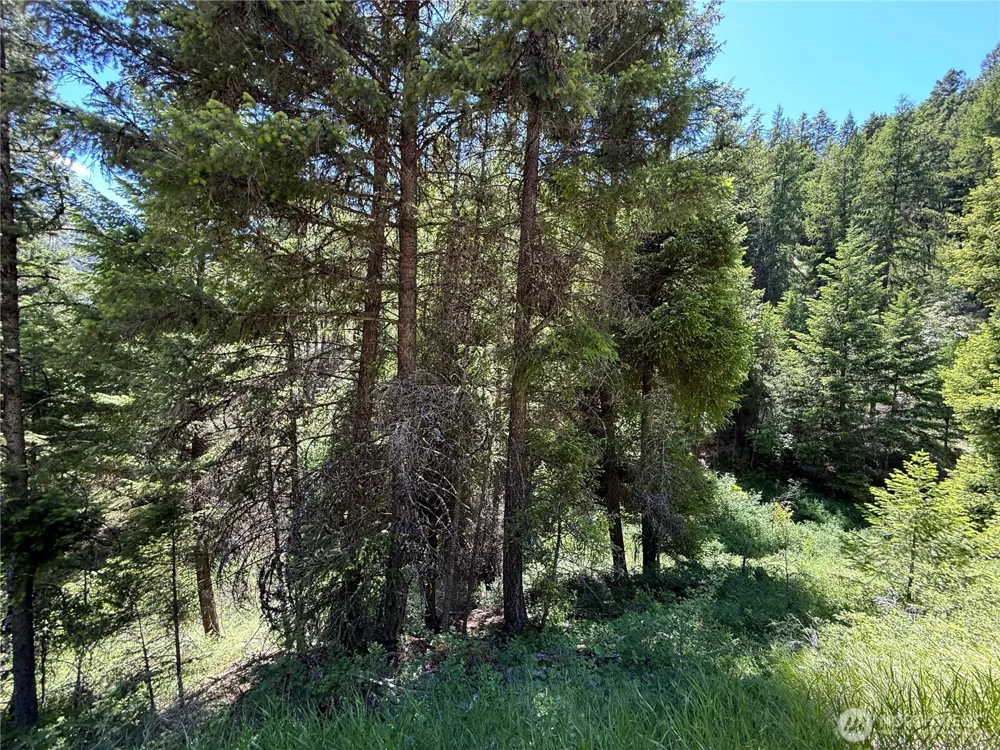 0 TBD Toroda Creek Road Wauconda, WA 98859