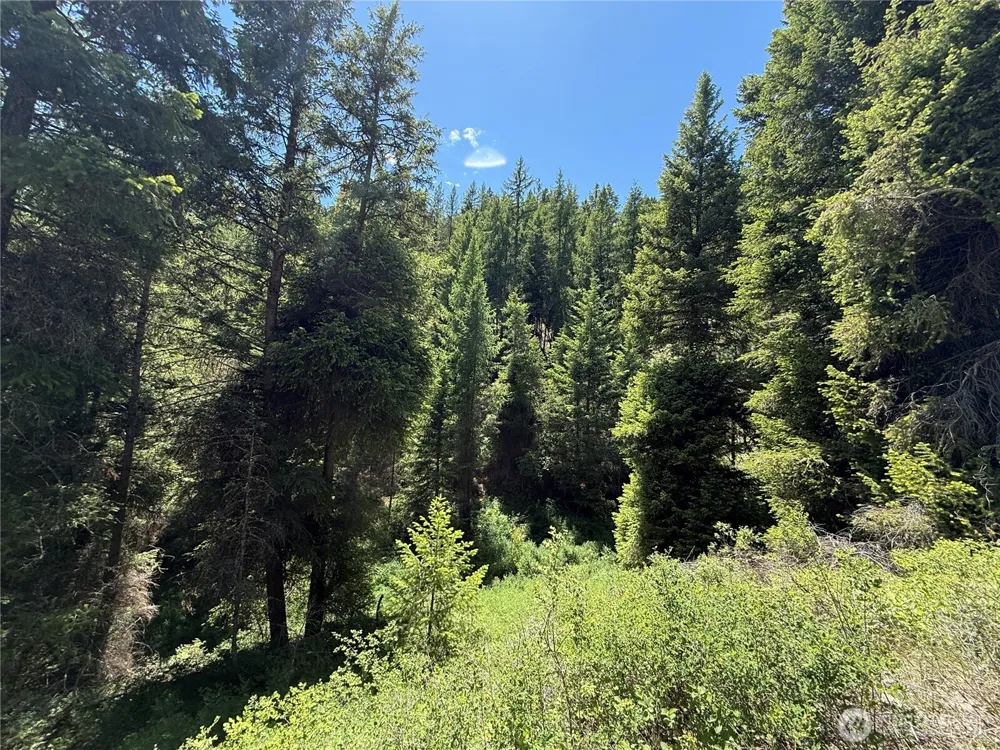 0 TBD Toroda Creek Road Wauconda, WA 98859