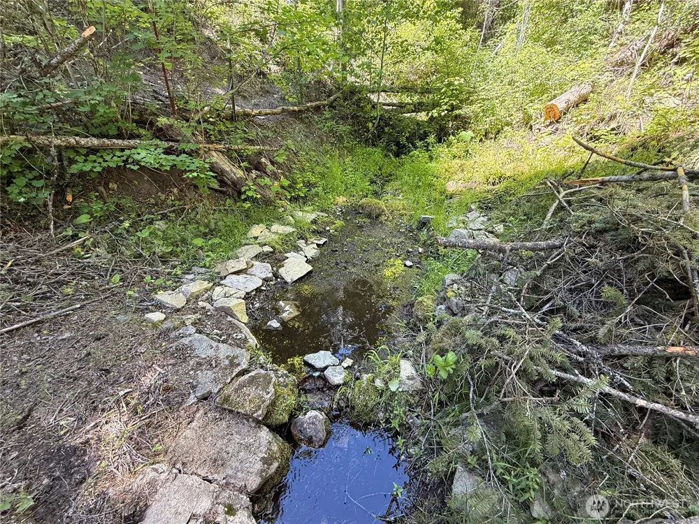 0 TBD Toroda Creek Road Wauconda, WA 98859