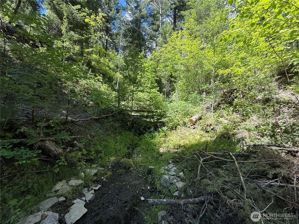0 TBD Toroda Creek Road Wauconda, WA 98859