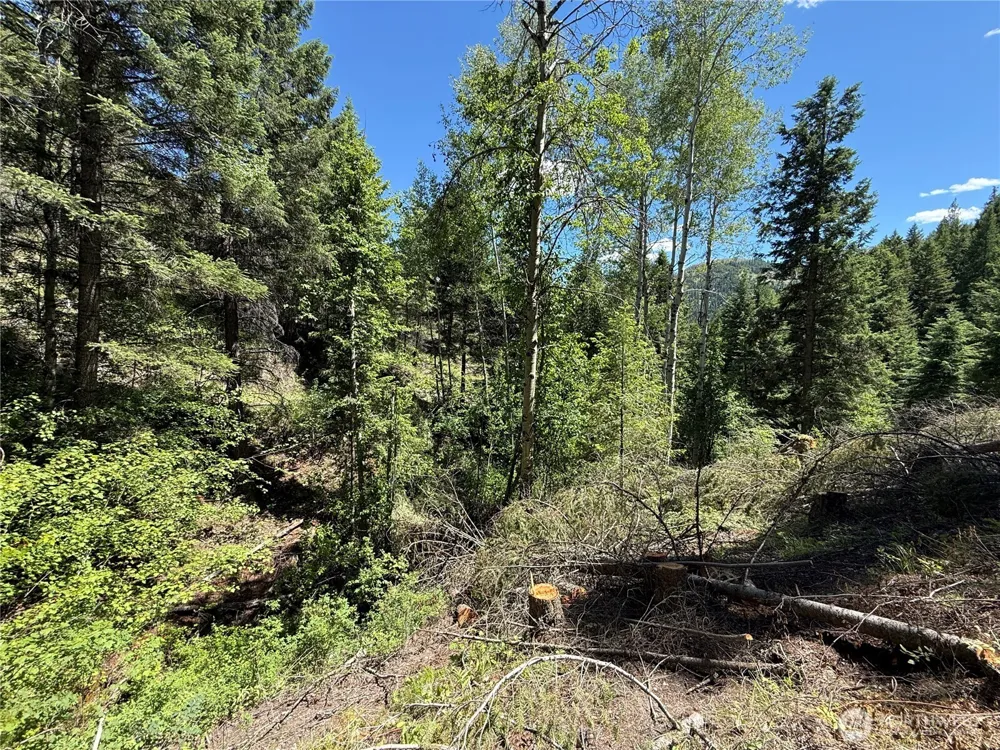 0 TBD Toroda Creek Road Wauconda, WA 98859