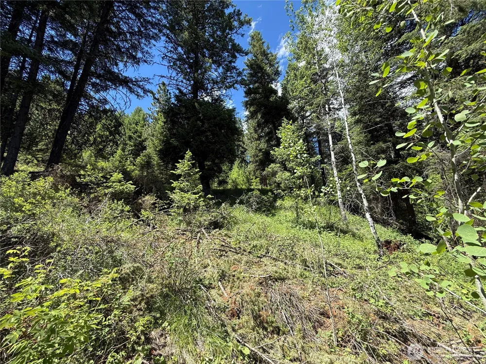 0 TBD Toroda Creek Road Wauconda, WA 98859