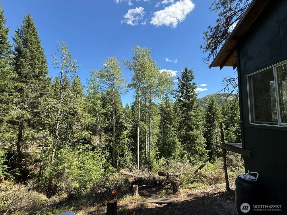 0 TBD Toroda Creek Road Wauconda, WA 98859