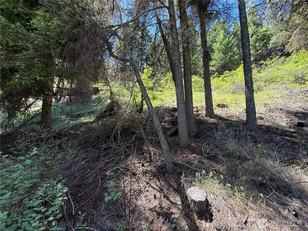 0 TBD Toroda Creek Road Wauconda, WA 98859