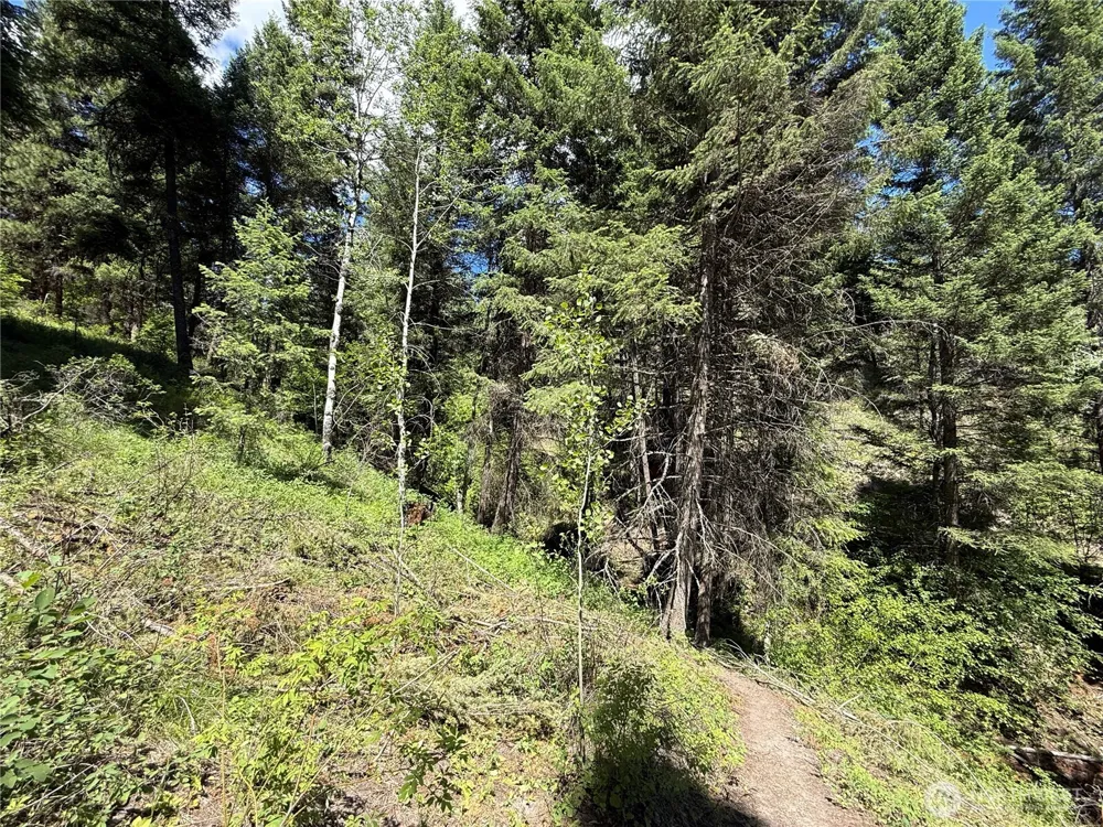 0 TBD Toroda Creek Road Wauconda, WA 98859