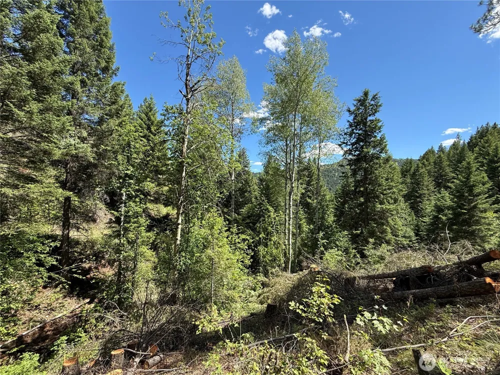 0 TBD Toroda Creek Road Wauconda, WA 98859