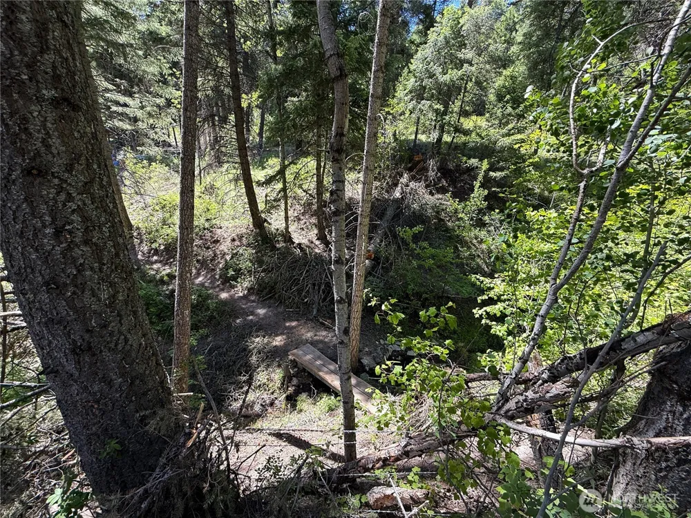 0 TBD Toroda Creek Road Wauconda, WA 98859