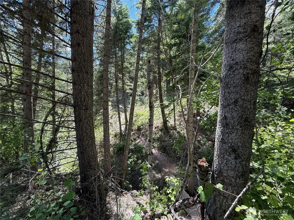 0 TBD Toroda Creek Road Wauconda, WA 98859