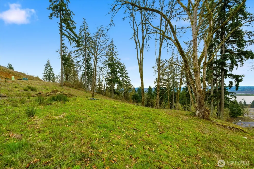 0 Lot F Liam Drive Kalama, WA 98625