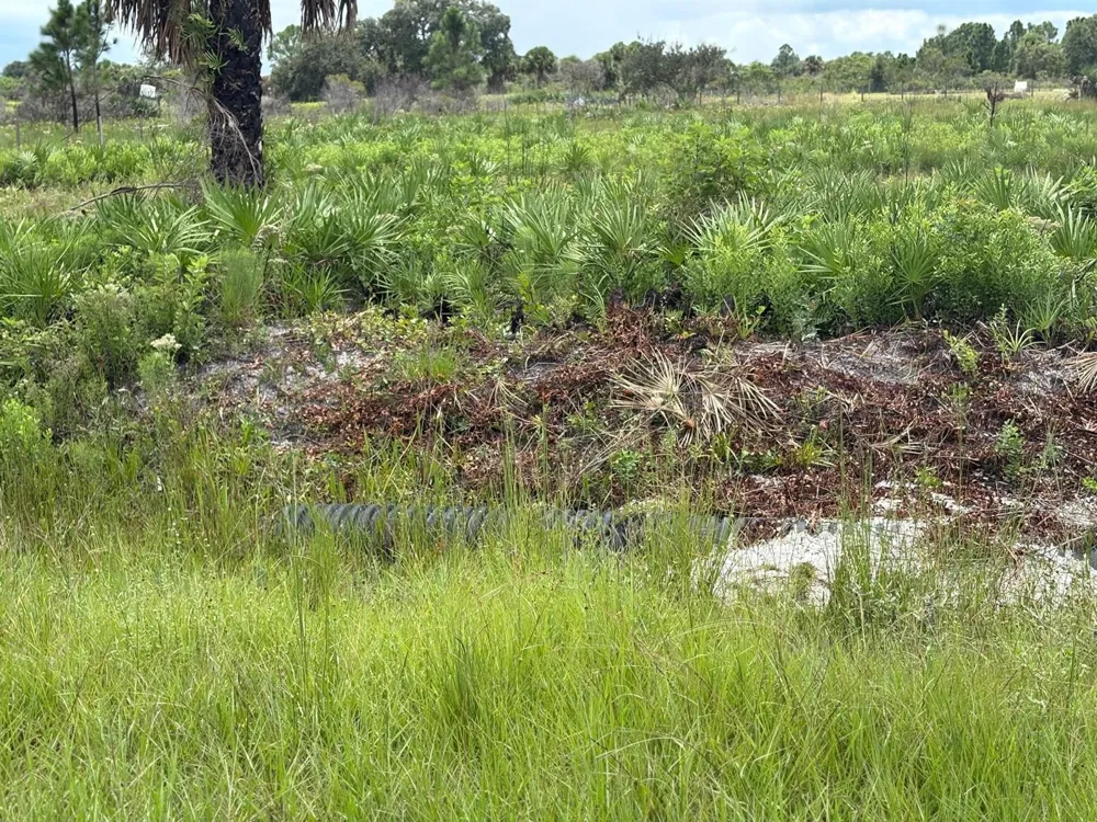 17982 NW 318th Street Okeechobee, FL 34972