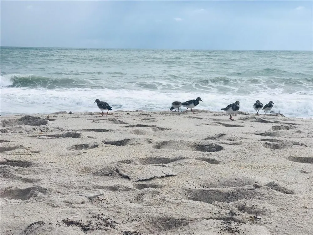 2536 44th Avenue Vero Beach, FL 32966