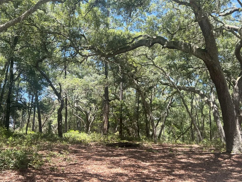 1425 RENBAR ROAD De Leon Springs, FL 32130