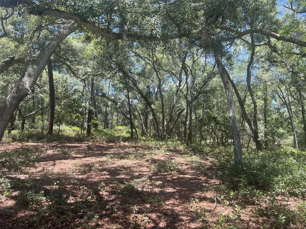 1425 RENBAR ROAD De Leon Springs, FL 32130