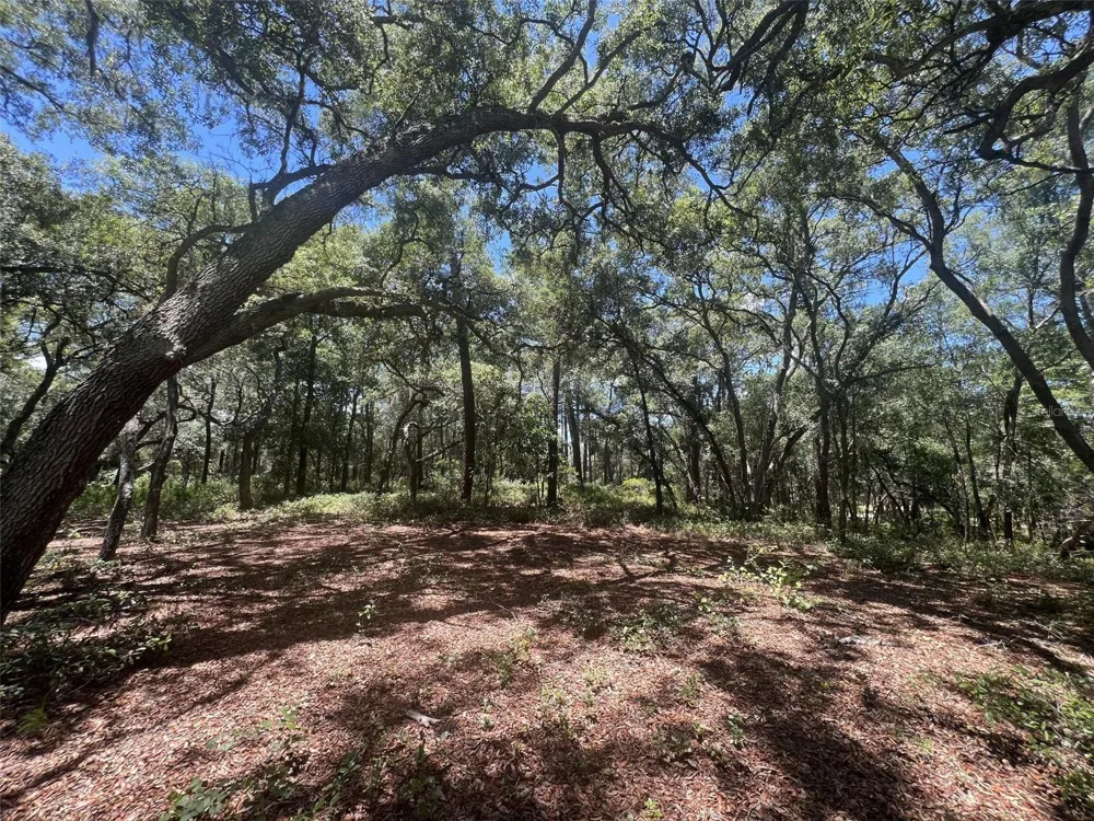 1425 RENBAR ROAD De Leon Springs, FL 32130