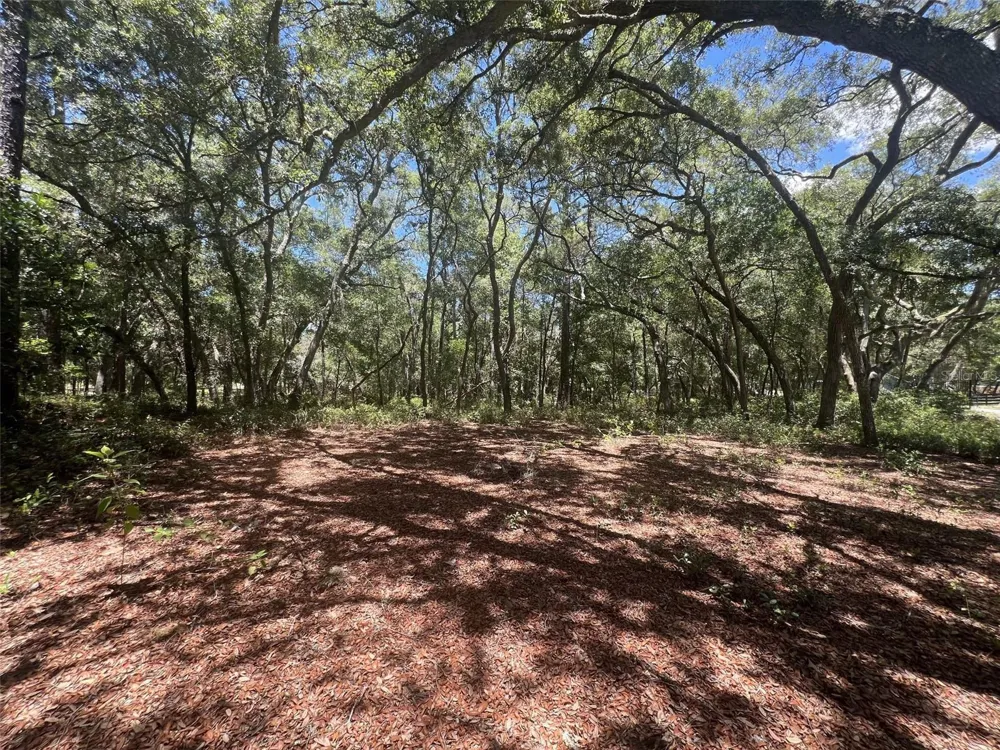 1425 RENBAR ROAD De Leon Springs, FL 32130