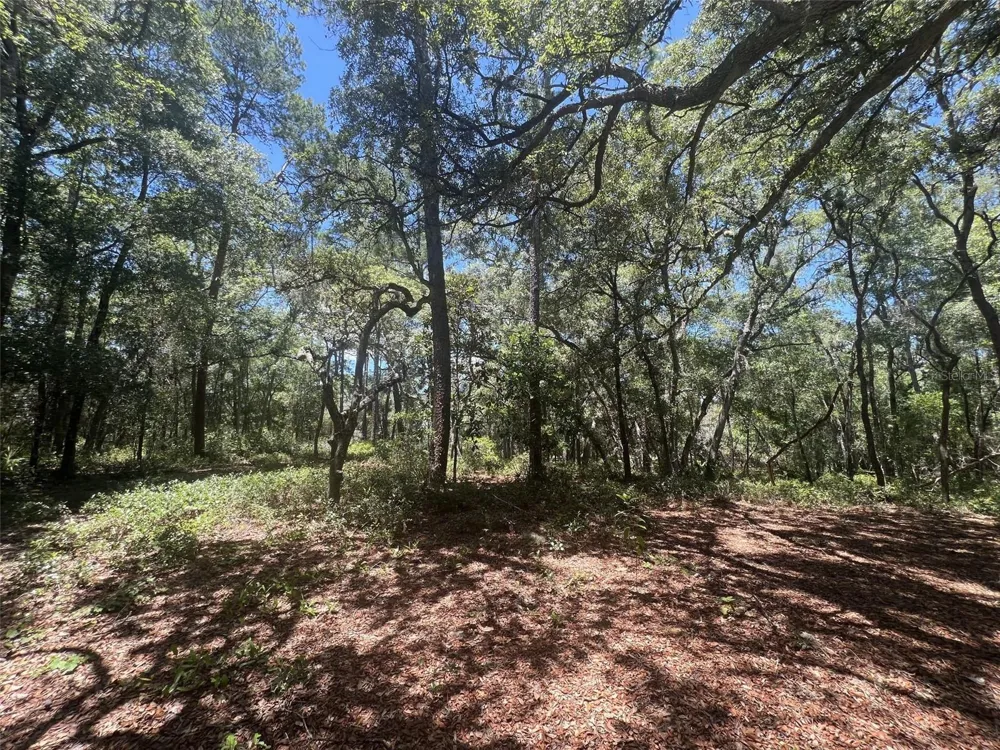 1425 RENBAR ROAD De Leon Springs, FL 32130