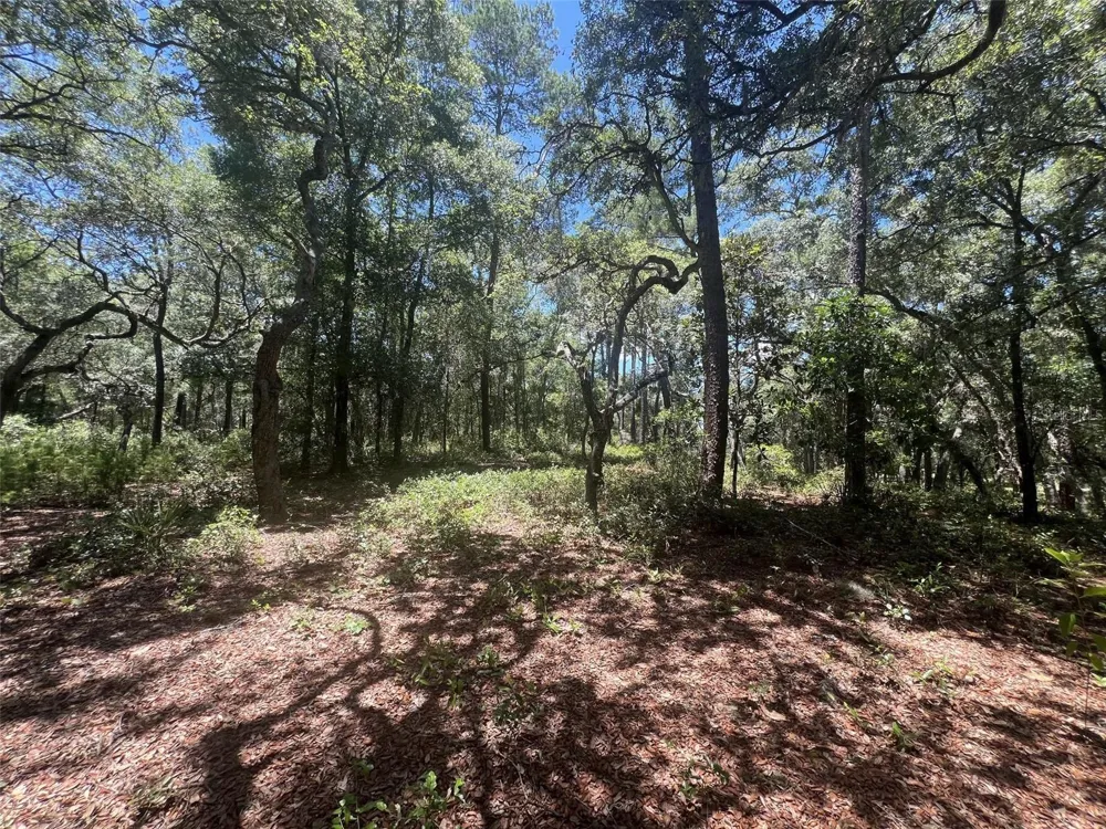 1425 RENBAR ROAD De Leon Springs, FL 32130