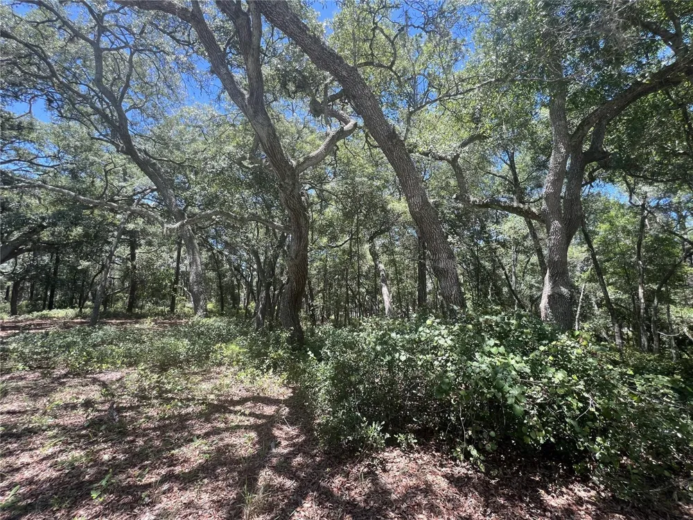 1425 RENBAR ROAD De Leon Springs, FL 32130