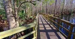 237 Howell Court Lake Placid, FL 33852