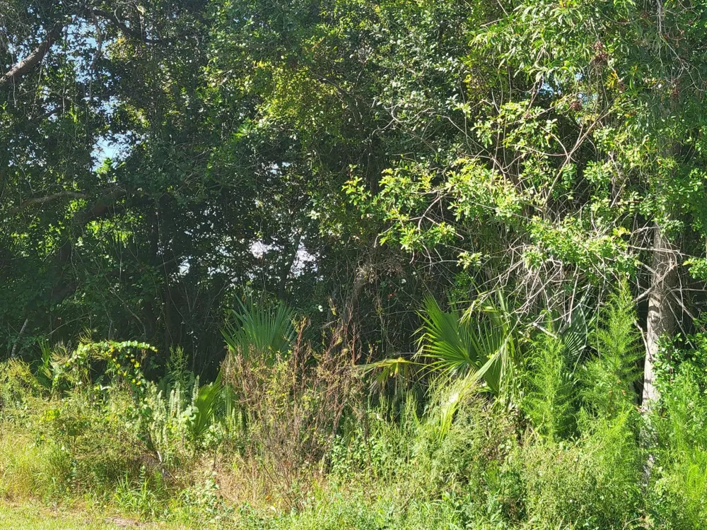 474 SW Kaabe Avenue Port St. Lucie, FL 34953