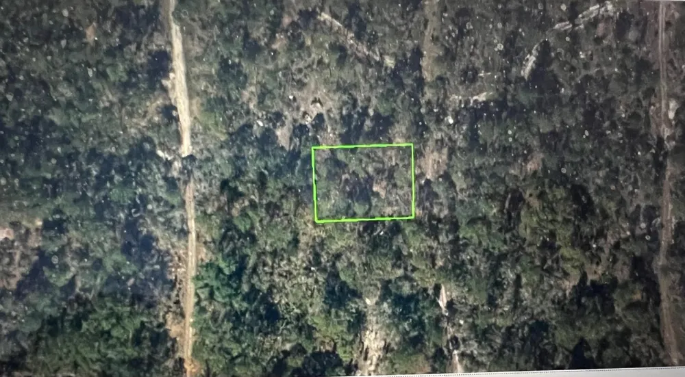 248 Suwanner Drive Lake Placid, FL 33852